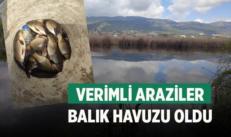 Çameli’de Sazan ve Yayın Balığı Avı Sezonu Başladı