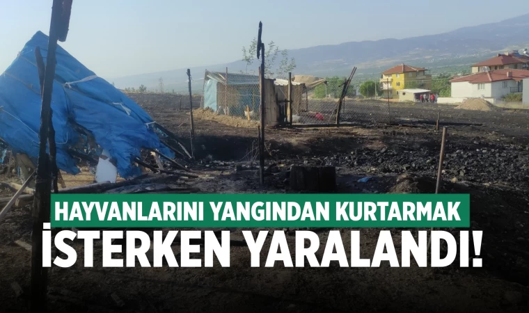 Denizli'de çıkan yangında hayvanlarını kurtarmak isteyen kişi yaralandı