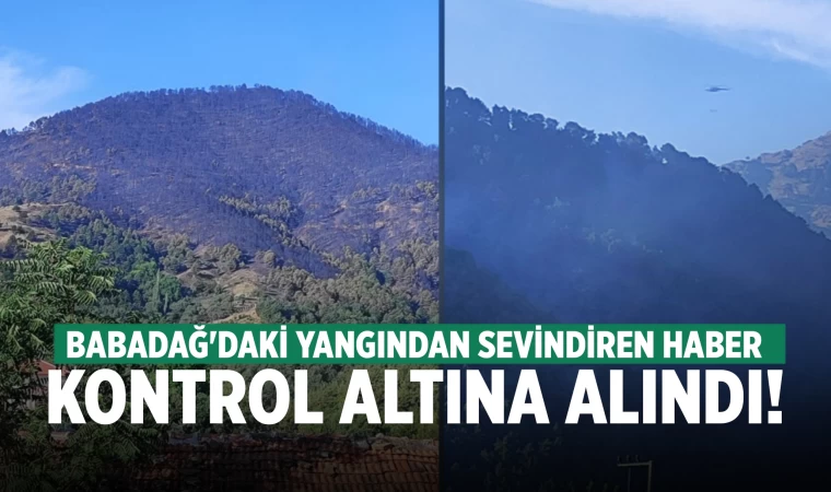 Denizli'de dün çıkan orman yangını kontrol altına alındı