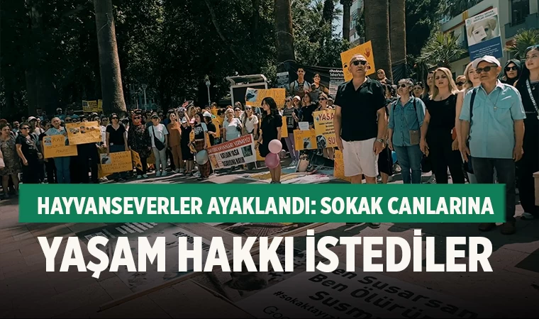 Denizli'de Hayvanseverler Sokak Hayvanları İçin toplandı