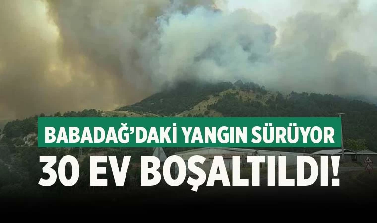Denizli’de orman yangını! 30 ev boşaltıldı