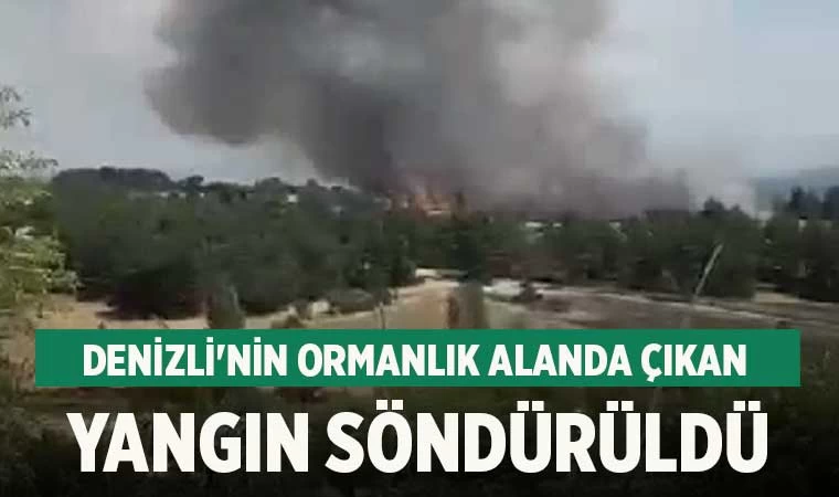 Denizli'nin ormanlık alanda çıkan yangın söndürüldü