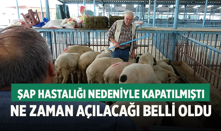 Çivril Hayvan Pazarı Kurban Bayramı İçin Açılıyor