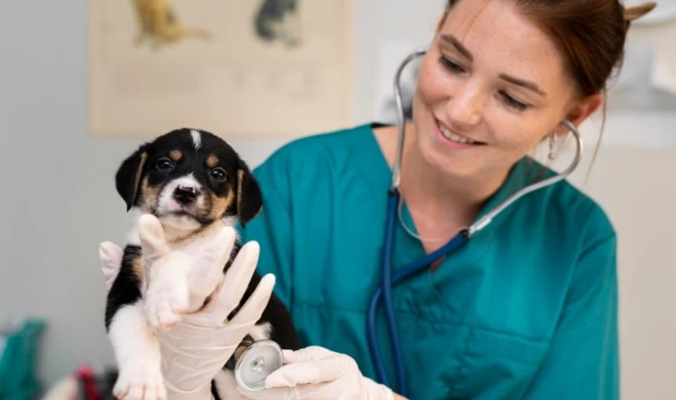 Atlas Veteriner Kliniği ile Kedi ve Köpeklerde Sağlıklı Beslenme