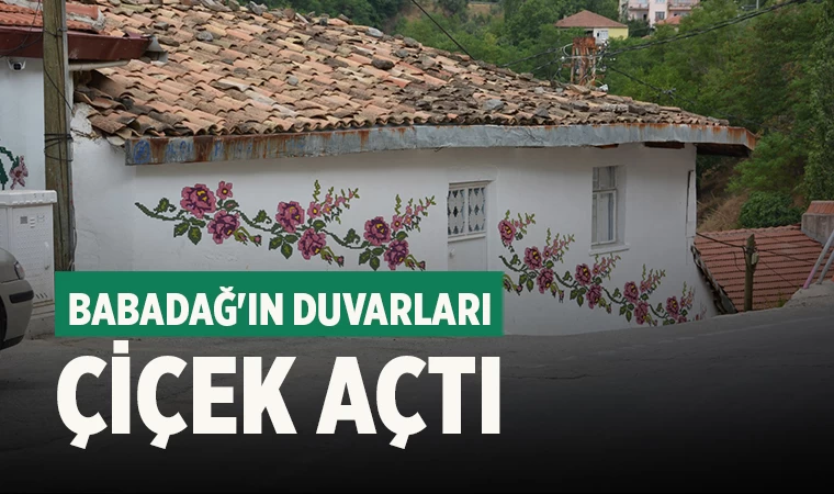 Babadağ'ın duvarları çiçek açtı