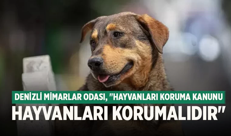 Denizli Mimarlar Odası, "Hayvanları Koruma Kanunu Hayvanları Korumalıdır"
