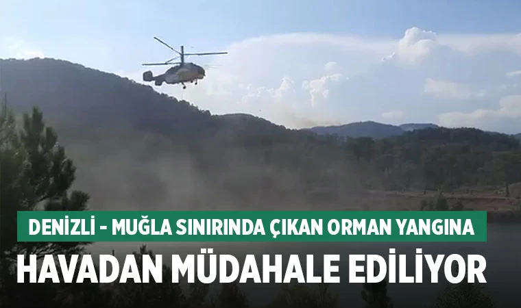 Denizli - Muğla sınırında çıkan orman yangına havadan müdahale ediliyor