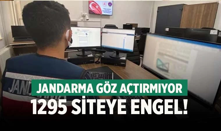 Denizli’de bin 295 internet sitesine erişim engeli