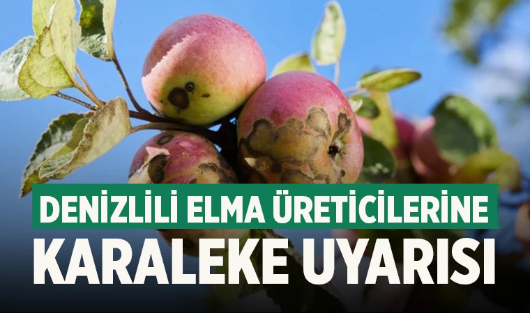 Denizlili Elma Üreticilerine Karaleke Uyarısı