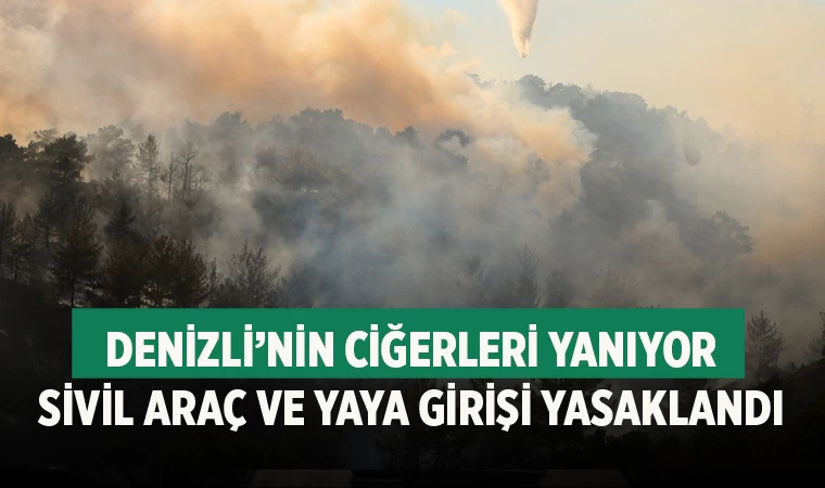 Denizli'nin ciğerleri yanıyor Sivil Araç ve Yaya Girişi Yasaklandı
