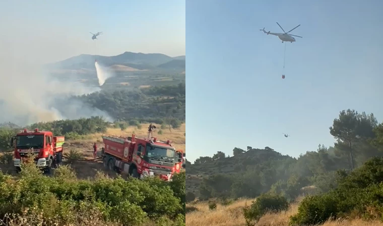 Manisa Kırkağaç'ta Orman Yangını Kontrol Altına Alındı