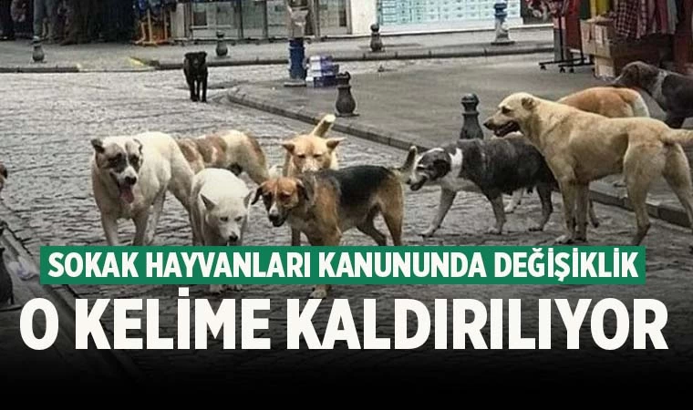 Sokak hayvanları kanunundan o kelime kaldırıldı