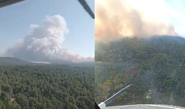 Urla'da Orman Yangını