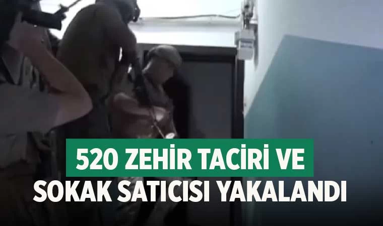520 zehir taciri ve sokak satıcısı yakalandı