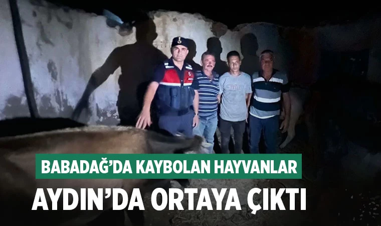 Babadağ’da kaybolan hayvanlar aydın’da ortaya çıktı