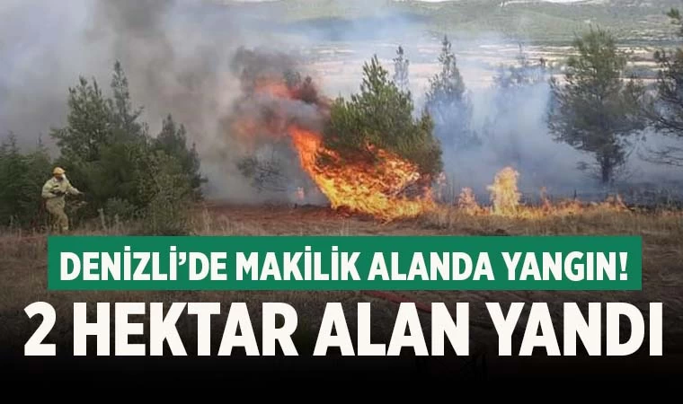 Denizli’de makilik alanda yangın!