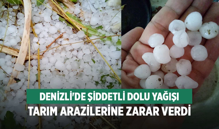 Denizli'de Şiddetli Dolu Yağışı Tarım Arazilerine Zarar Verdi