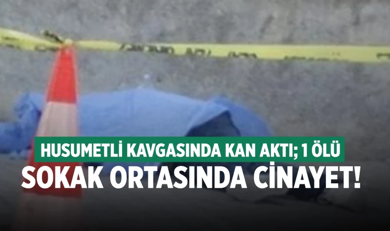 Denizli'de sokak ortasında cinayet! 1 ölü