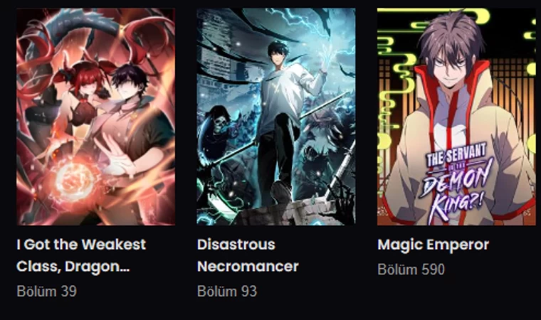 Manga Oku Türkçe | Japonya'nın Efsanevi Çizgi Romanlarına Türkçe Yolculuk