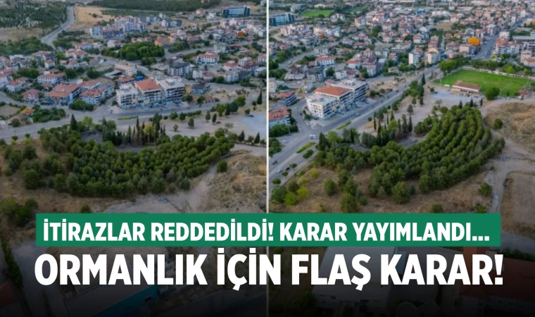 Ormanlık alanı imara açan değişikliğe yapılan itirazlar reddedildi