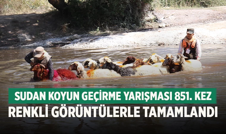 Sudan Koyun Geçirme Yarışması 851. Kez Renkli Görüntülerle Tamamlandı