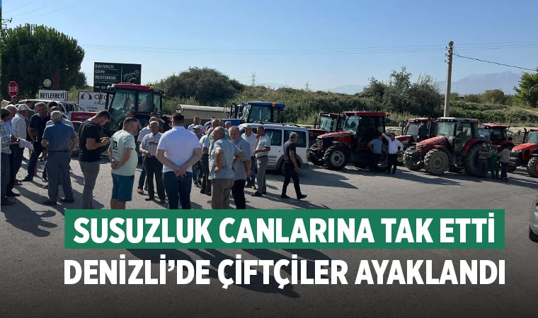 Susuzluk canlarına tak etti Denizli’de Çiftçiler ayaklandı