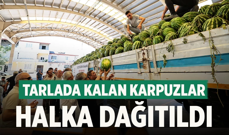 Tarlada kalan karpuzlar halka dağıtıldı