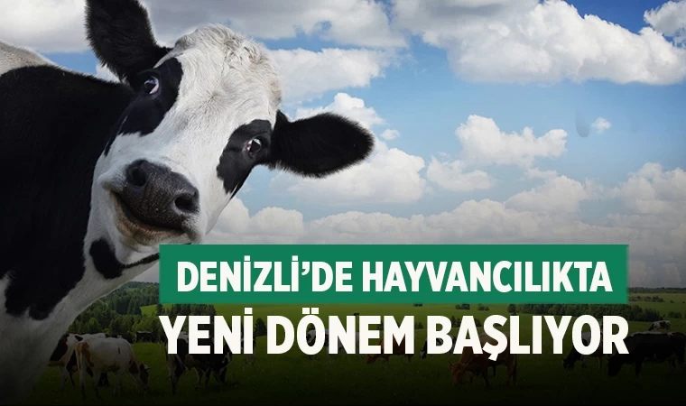 Denizli’de Hayvancılıkta Yeni Dönem