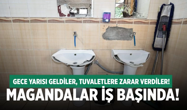 Denizli'de şehir magandaları iş başında! Camları ve lavaboları kırdılar