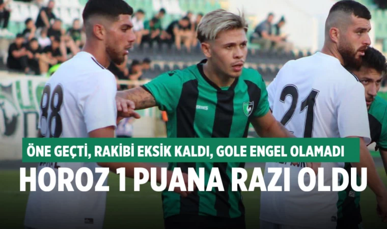 Denizlispor sahasında Polatlı ile berabere kaldı (1-1)