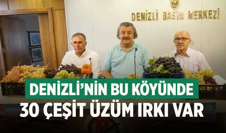 Denizli Acıpayam’da 3. Avşar Üzüm Şenliği Başlıyor