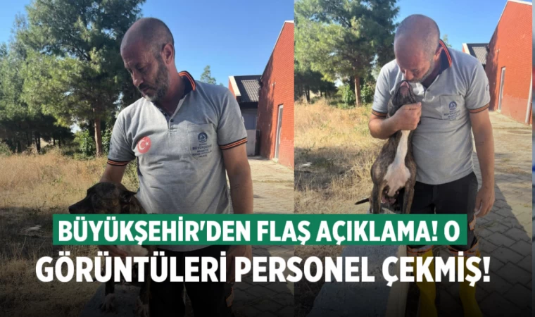 Denizli Büyükşehirden hayvan barınağı açıklaması; Görüntüleri personel çekmiş