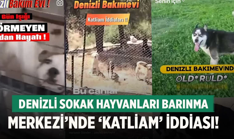 Denizli Sokak Hayvanları Barınma Merkezi’nde ‘Katliam’ İddiası!