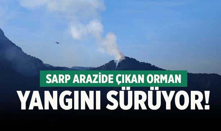 Denizli'de Karcı Dağında çıkan orman yangını sürüyor