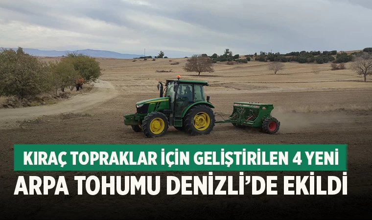 Çal’da Kıraç Topraklar İçin Geliştirilen Yeni Arpa Tohumları Ekildi