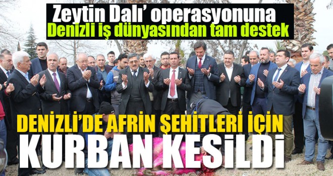 'Zeytin Dalı’ operasyonuna Denizli iş dünyasından tam destek