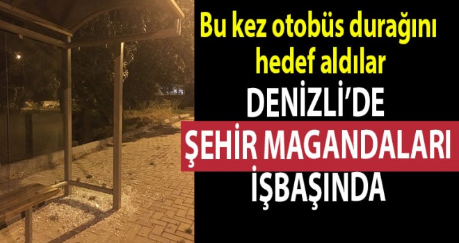 Denizli'de şehir magandaları iş başında