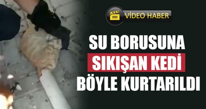 Su Borusuna Sıkışan Kedi Böyle Kurtarıldı