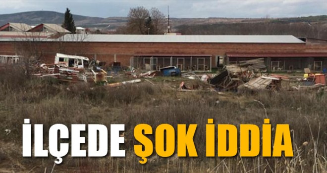 Sokak Hayvanlarının Açlıktan Öldüğü iddia edildi