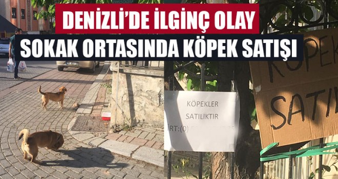 Denizli’de İlginç Olay Sokak Ortasında Köpek Satışı