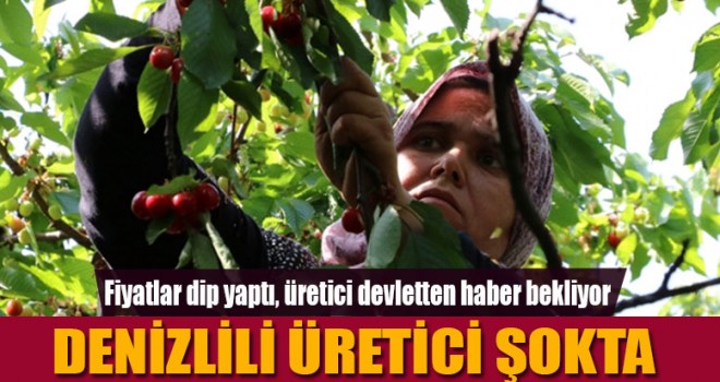 DENİZLİLİ ÜRETİCİ ŞOKTA