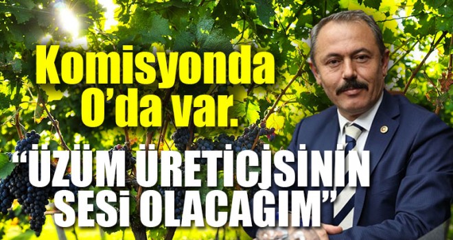 Milletvekili Tin,  “Üzüm Üreticisinin Sesi Olacağım”