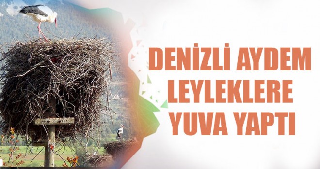 Denizli AYDEM Leyleklere Yuva Yaptı