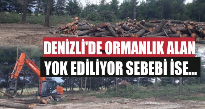 Denizli'de Ormanlık Alan Yok Ediliyor Sebebi İse...