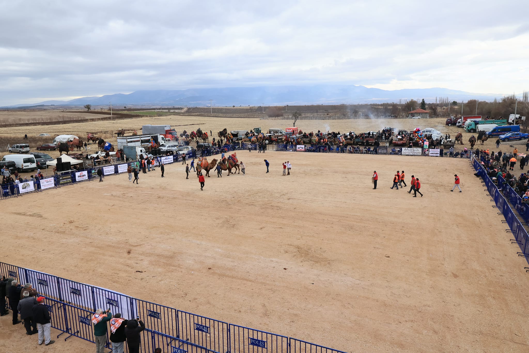 Denizli'de pehlivan develer güreşti