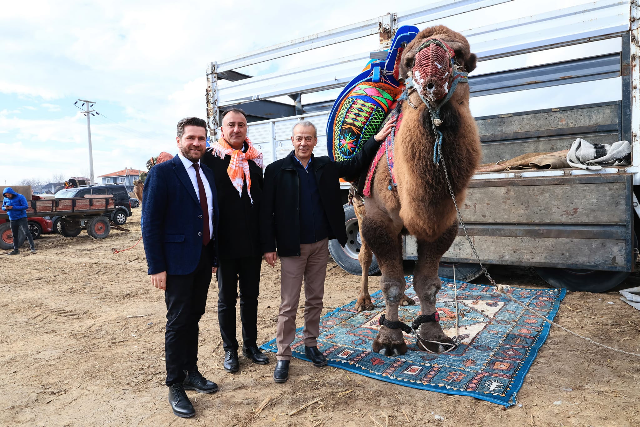 Denizli'de pehlivan develer güreşti