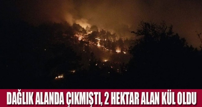 2 hektar alan kül oldu