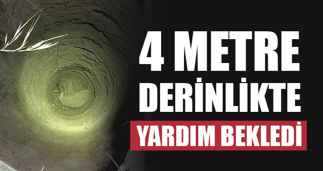 4 Metre Derinlikte Yardım Bekledi