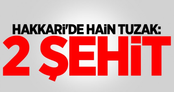 Hakkari'de hain tuzak