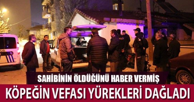 Denizli'de yaşlı adam evinde ölü bulundu